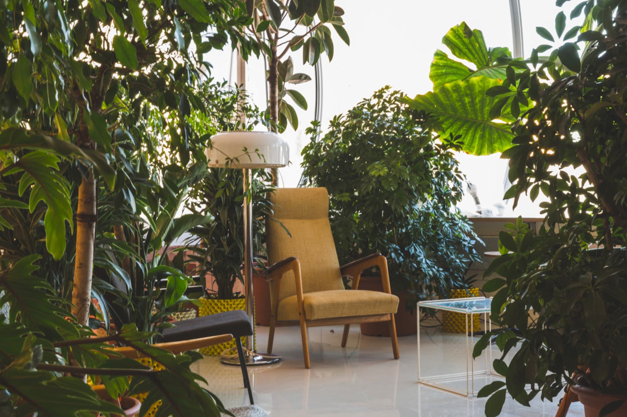 Granola Office